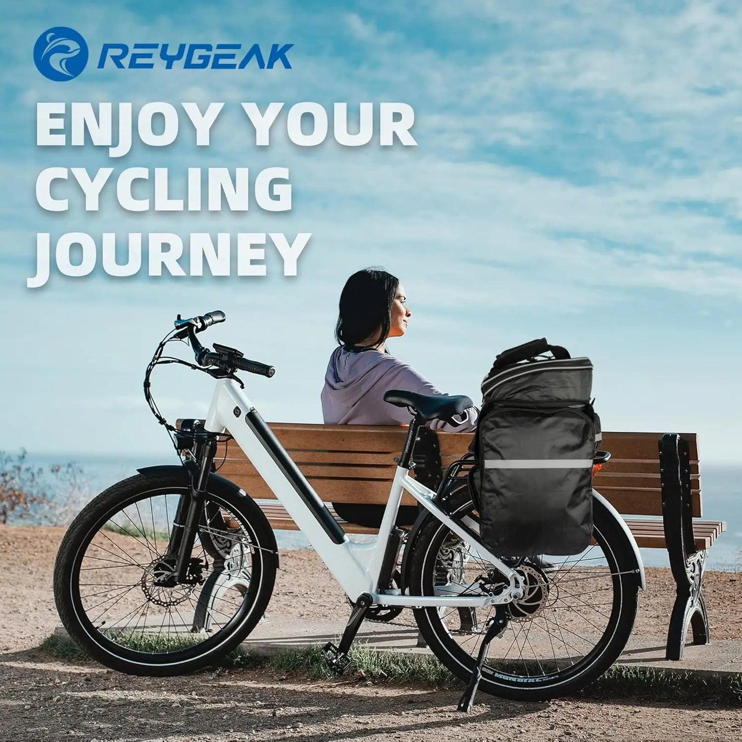 Bike Rack Bag 25L Polyester Saddle Trunk with Rainproof Cover, Large Capacity Shoulder Panniers for Adults