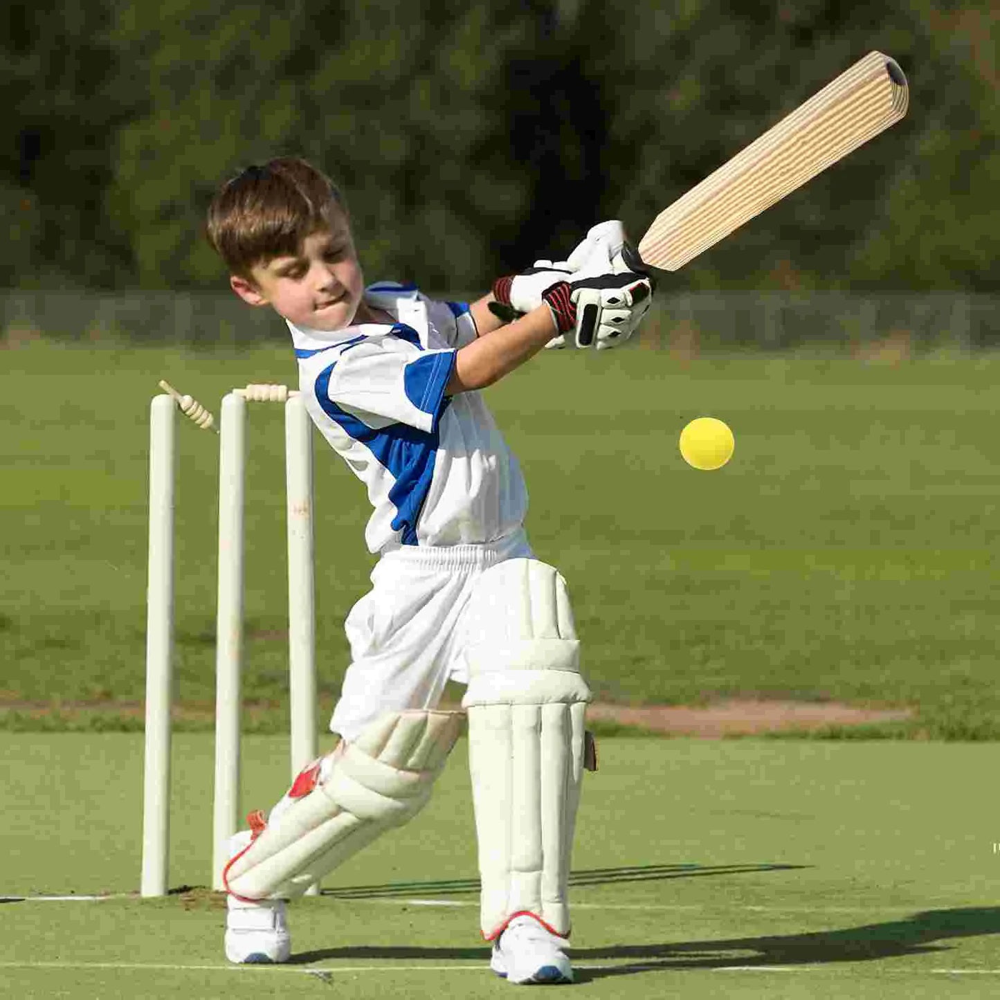 1 set EVA Kids Cricket Bat Set Outdoor Indoor Game Activity For Beach Toy Sports Game Interactive Playground Ball Bats Backyard
