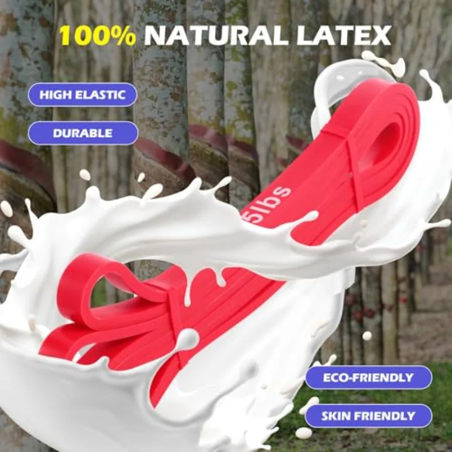 Resistance Bands, Pull Up Assistance Bands Set for Working Out, Exercise Workout Bands for Men & Women, Body Stretching, Physica