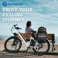 Bike Rack Bag 25L Polyester Saddle Trunk with Rainproof Cover, Large Capacity Shoulder Panniers for Adults